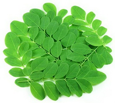 Organic Moringa (Leaf)