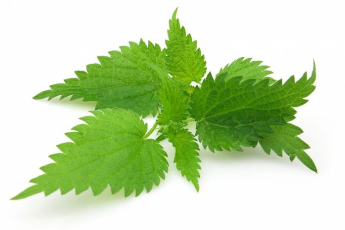 Organic Nettle (Root and Leaf)