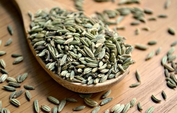 Organic Fennel (Seed)