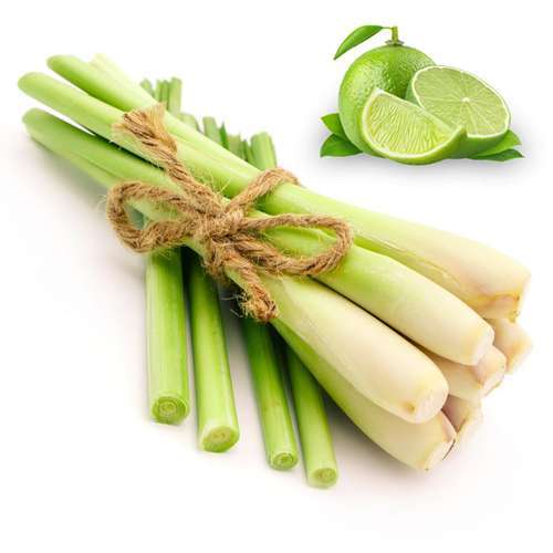 Organic lemon grass (Herb)