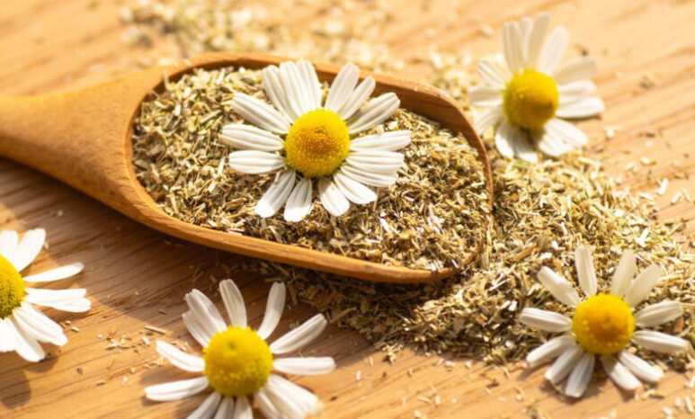 Organic German chamomile (Flower)