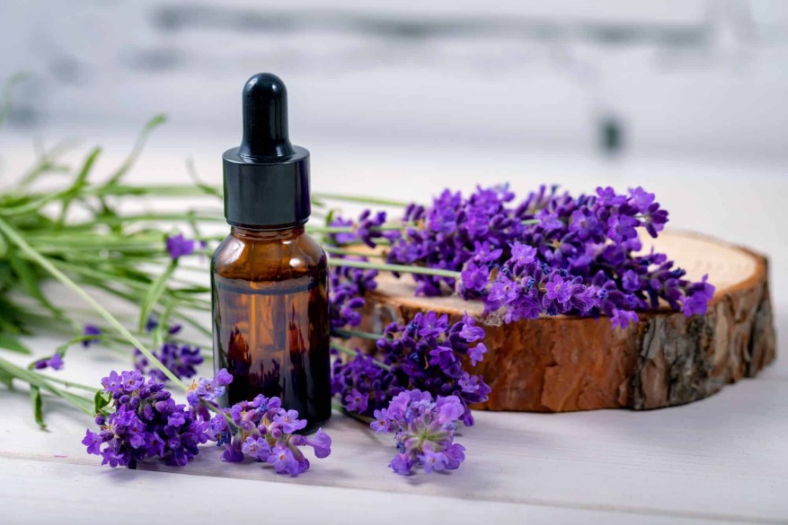 Organic Lavender Essential Oil